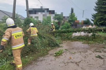 Usuwanie skutków nawałnicy w gminie Złota